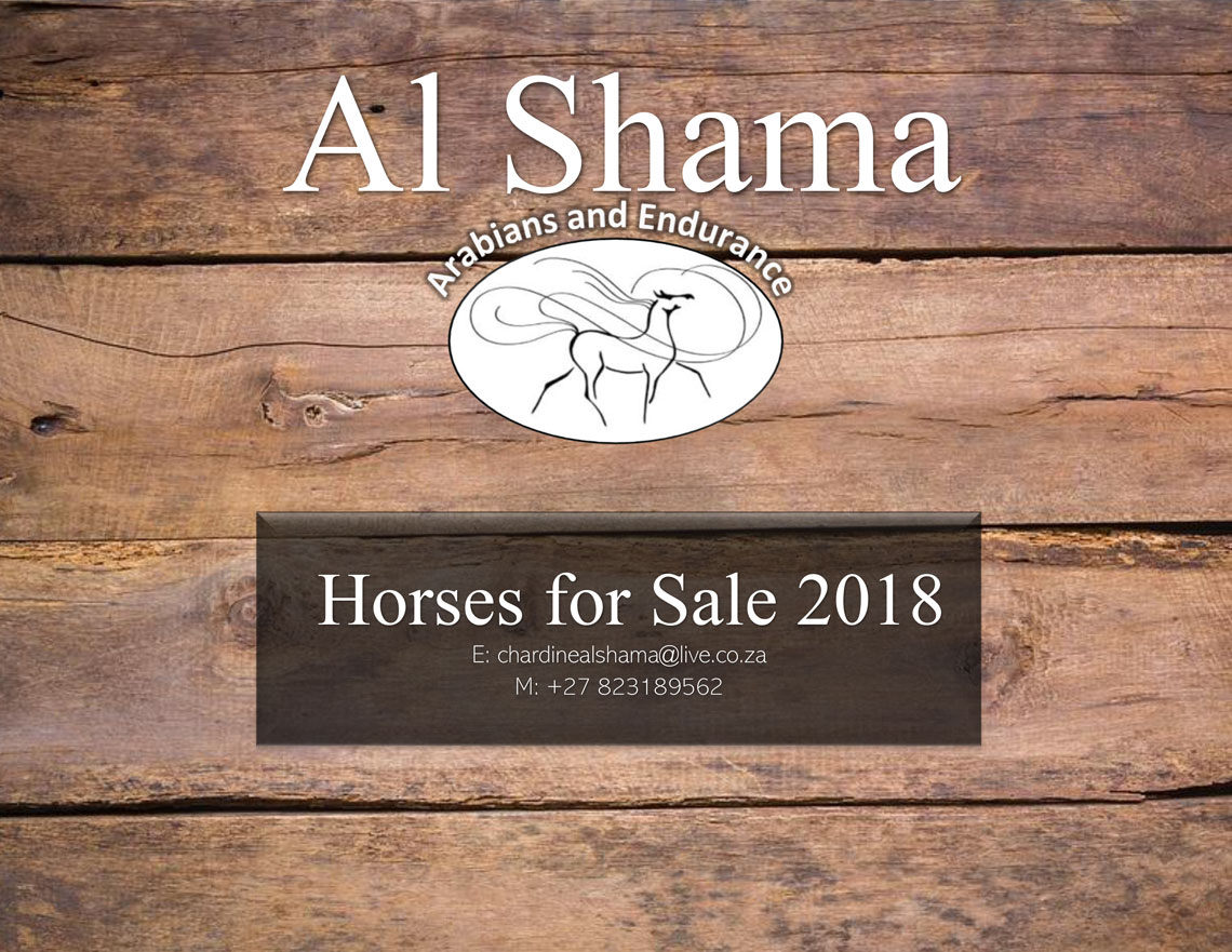 Chardine Al Shama Horses