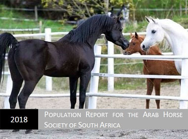 Population Report for Arab Horse Society of SA