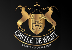 Castle de Wildt<br>
071 657 7178<br>
<a href='mailto:castle@lbgh.co.za'>castle@lbgh.co.za</a>