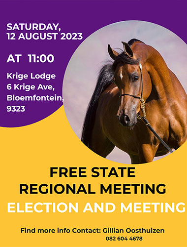 Free State Region - Meeting